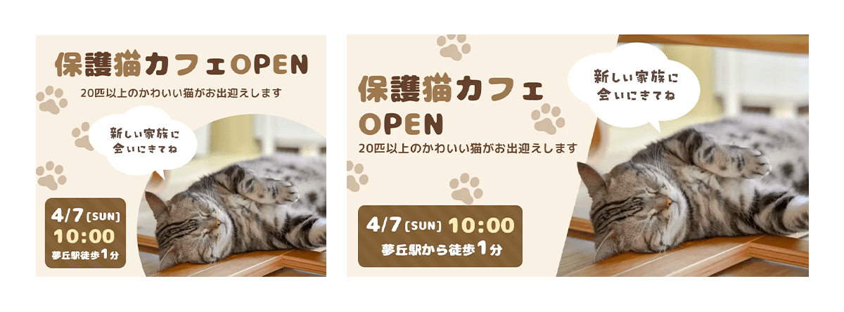 保護猫カフェのオープン告知