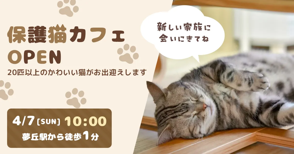 保護猫カフェのオープン告知